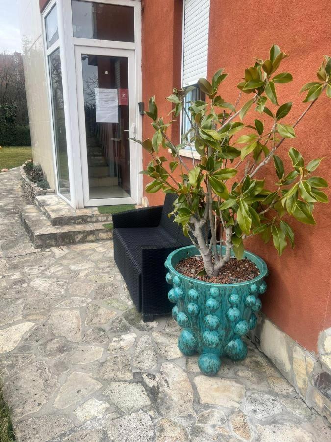 Rosehill Villa Budapest Esterno foto